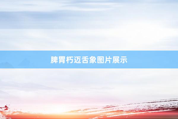 脾胃朽迈舌象图片展示